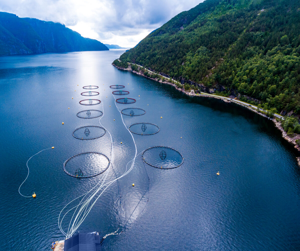 Aerial photograph of a fish-farm in Norway